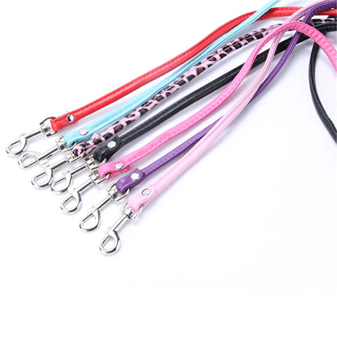 Pet Cat Puppy Dogs Leash - Paws Palace