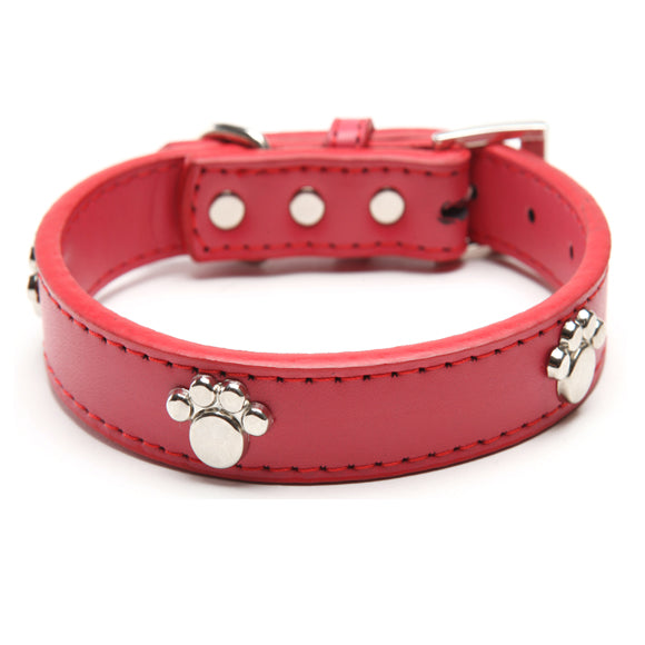 Paw Cut Puppy Collars - Paws Palace