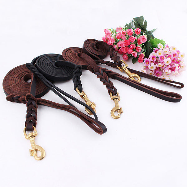 Luxury Strong Puppy Collar Leash - Paws Palace