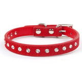 Bling Pet Dog Collar - Paws Palace