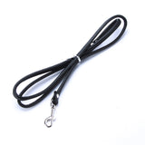 Pet Cat Puppy Dogs Leash - Paws Palace