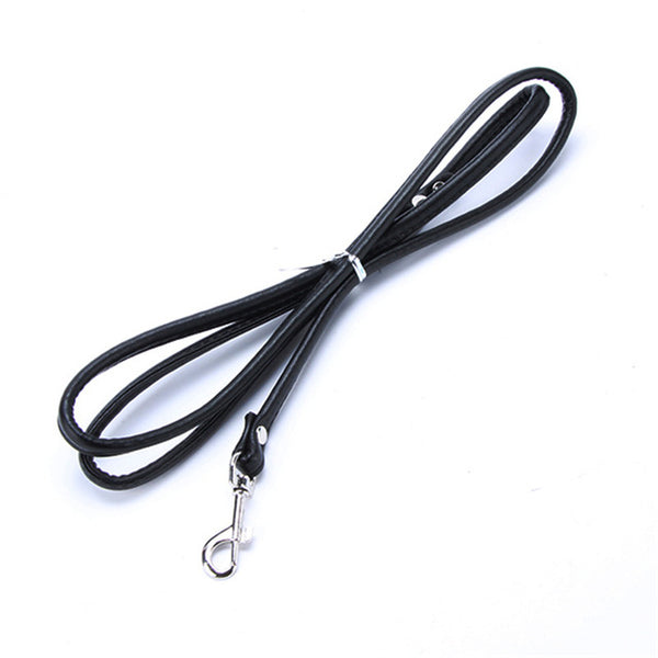 Pet Cat Puppy Dogs Leash - Paws Palace