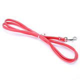 Pet Cat Puppy Dogs Leash - Paws Palace