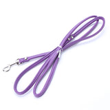 Pet Cat Puppy Dogs Leash - Paws Palace