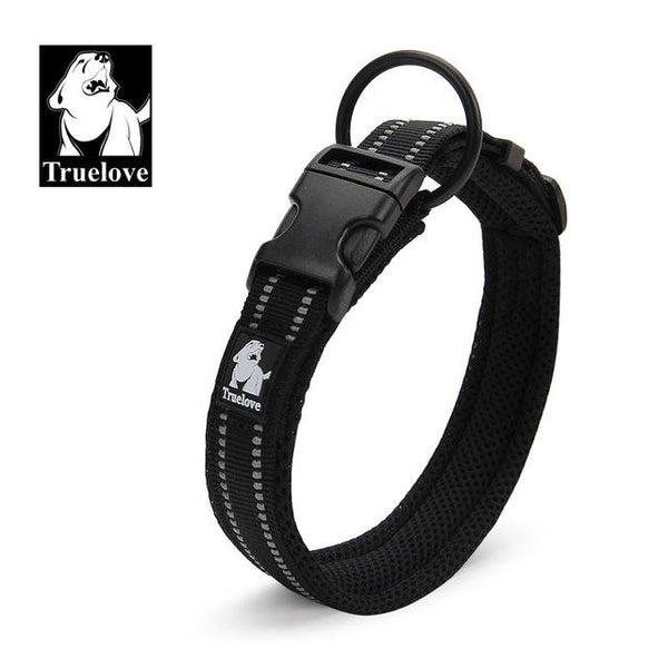 Adjustable Nylon Dog Collars - Paws Palace