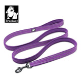 Soft Padded Mesh Dog Leash - Paws Palace
