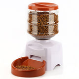 Automatic Pet Feeder - Paws Palace