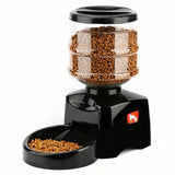 Automatic Pet Feeder - Paws Palace