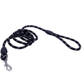 Dog Collars & Leads Training Walk Pet - Paws Palace