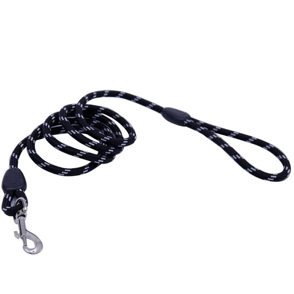Dog Collars & Leads Training Walk Pet - Paws Palace