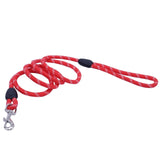 Dog Collars & Leads Training Walk Pet - Paws Palace