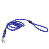 Dog Collars & Leads Training Walk Pet - Paws Palace