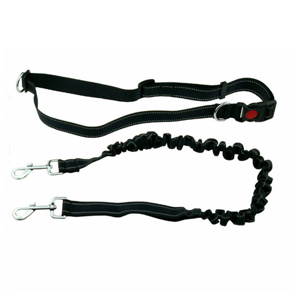 Pet Dog Running Leash - Paws Palace