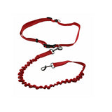 Pet Dog Running Leash - Paws Palace