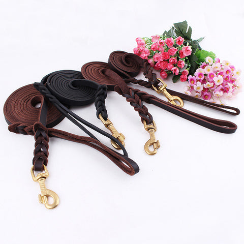 Luxury Strong Puppy Collar Leash - Paws Palace