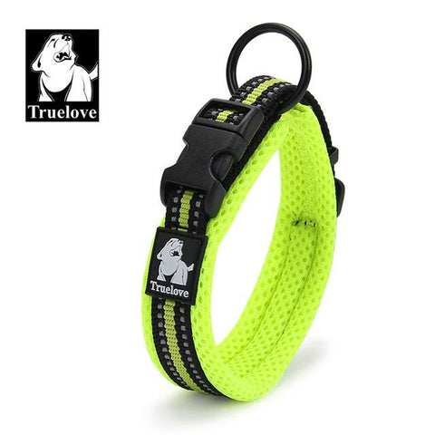 Adjustable Nylon Dog Collars - Paws Palace