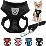 Breathable Mesh Small Dog Pet - Paws Palace
