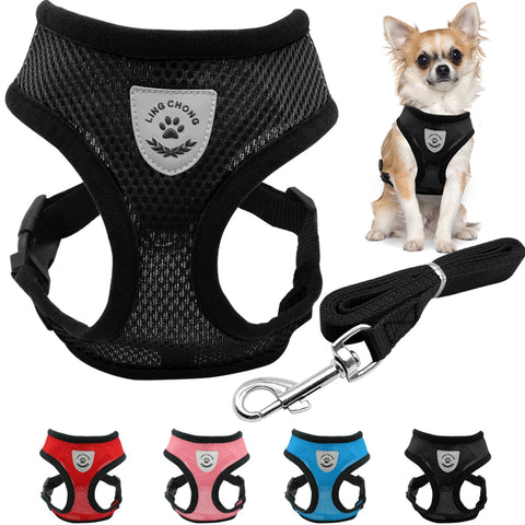 Breathable Mesh Small Dog Pet - Paws Palace