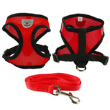 Breathable Mesh Small Dog Pet - Paws Palace