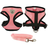 Breathable Mesh Small Dog Pet - Paws Palace