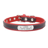 Engraved Dog Collar - Paws Palace