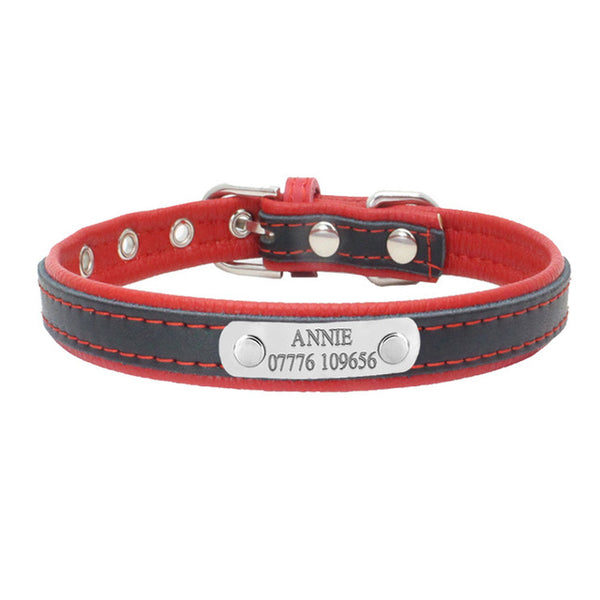 Engraved Dog Collar - Paws Palace