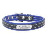 Engraved Dog Collar - Paws Palace