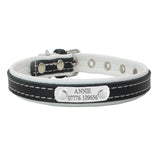 Engraved Dog Collar - Paws Palace
