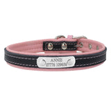 Engraved Dog Collar - Paws Palace