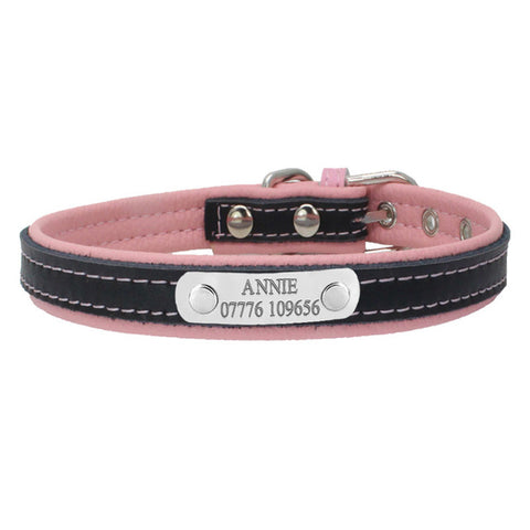 Engraved Dog Collar - Paws Palace