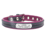 Engraved Dog Collar - Paws Palace