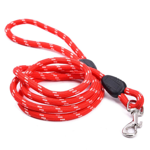 Dog Collars & Leads Training Walk Pet - Paws Palace