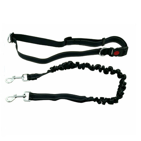 Pet Dog Running Leash - Paws Palace