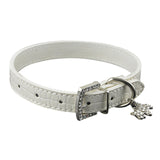 Dog Collar Crocodile Style - Paws Palace