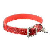 Dog Collar Crocodile Style - Paws Palace